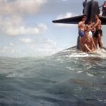 Swim call on the GREENLING